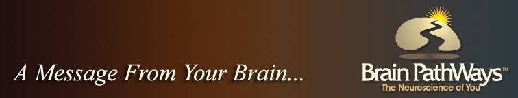 Brain Pathways